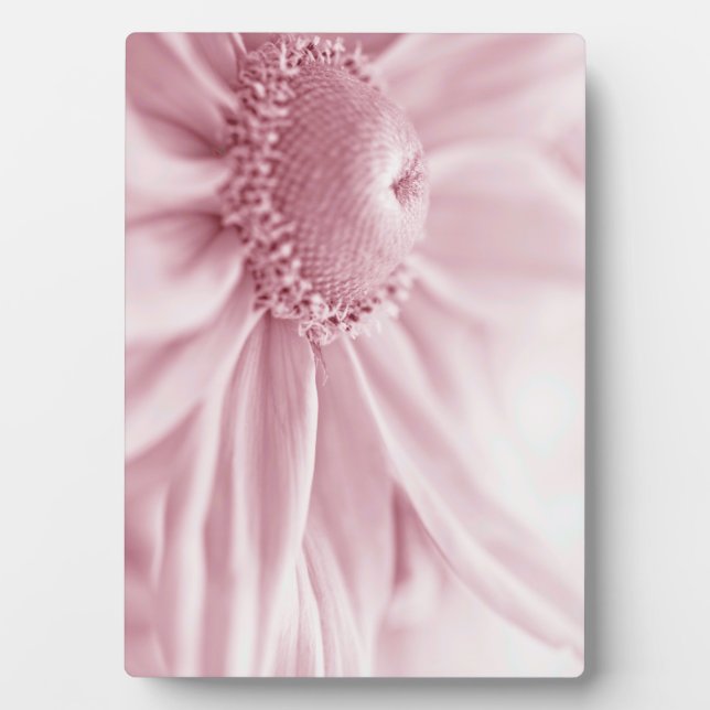 Plaque Photo Gloriosa Daisy Macro (Devant)