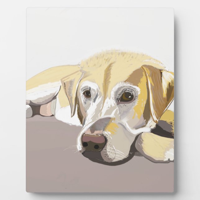 Plaque Photo Golden Labrador (Devant)