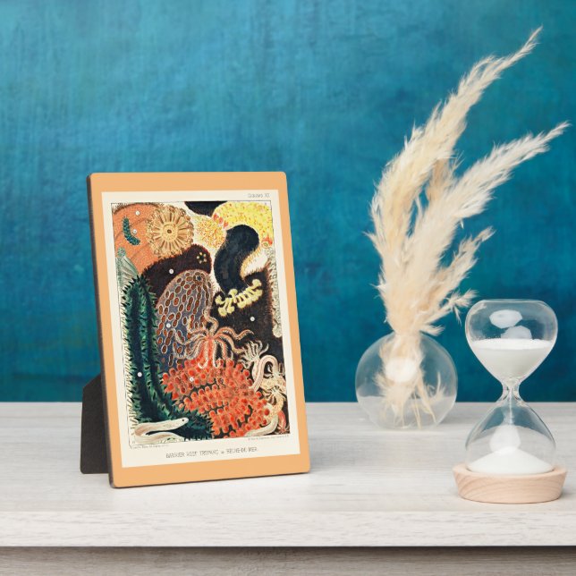 Plaque Photo Grande barrière de corail de l'Australie, Trepang, (Côté)