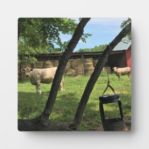 Plaque Photo Grange et vaches, toile de Caroline du Nord rurale