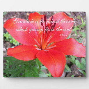 Plaque Photo Gratitude Lilie
