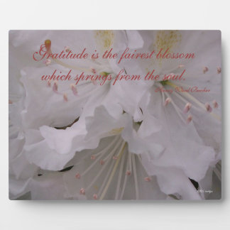 Plaque Photo Gratitude Rhododendrons
