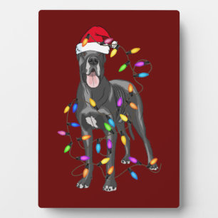 Plaque Photo Great Dane Chien Lumière Decor Noël Amateurs de Ch