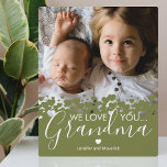 Plaque Photo Green We Love You Grand-mère Photo<br><div class="desc">Plaque photo personnalisée de grand-mère avec une photo de famille précieuse,  un design botanique de bordure cardiaque verte,  le dicton "nous t'aimons grand-mère",  et les noms des enfants.</div>