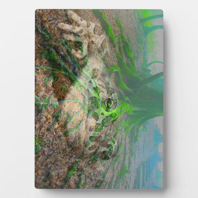 Plaque Photo Grenouille mousseuse (Devant)