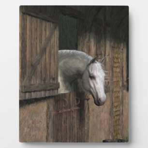 Plaque Photo Grey Horse