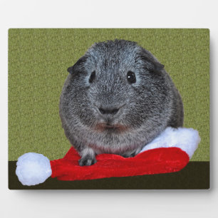 Plaque Photo Guinea Pig Christmas