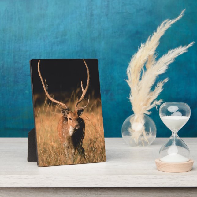 Plaque Photo Habitat naturel de l'hôpital | Parc national de Ba (Côté)