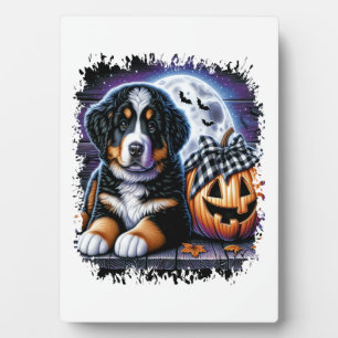 Plaque Photo Halloween bernois de chien de montagne