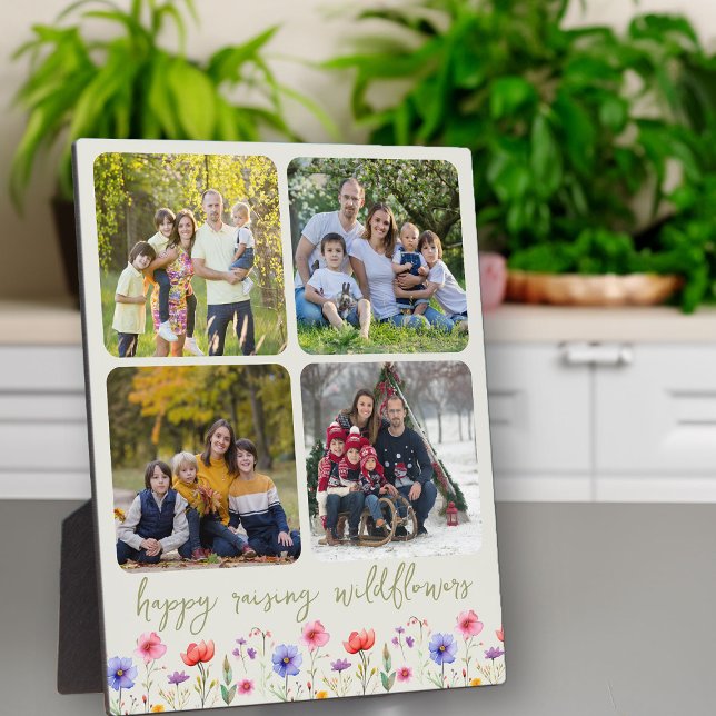 Plaque Photo Happy Raising Fleurs sauvages 4 Photo Collage Vert (Photo Collage with 4 pics - 1 for each season perhaps .. from my Mother's Day Wildflower Collection)