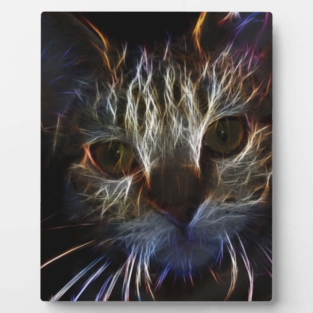 Plaque Photo Haunting cat face art, made of light - gothic (Devant)