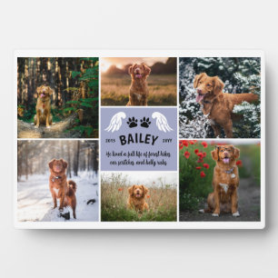 Plaque Photo Heather Wings Chig Paws Memorial Photo Collage