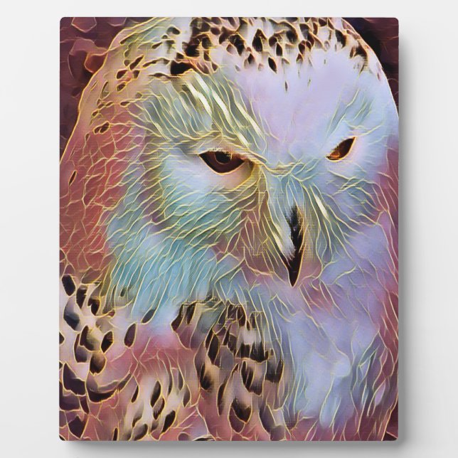 PLAQUE PHOTO HIBOU (Devant)