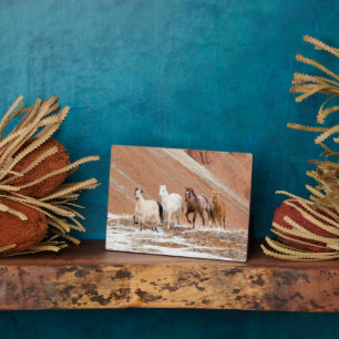 Plaque Photo Hideout Ranch avec petit troupeau de chevaux en ne