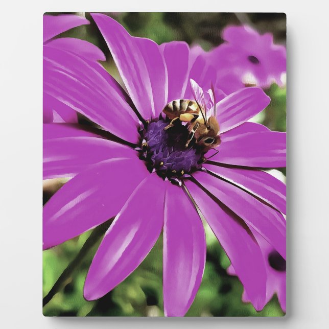 Plaque Photo Honey Bee Sur Un Daisy Africain Violet (Devant)