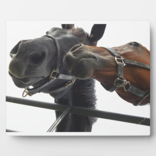 Plaque Photo Horsing Around