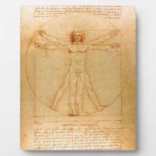 Plaque Photo Human Anatomy, Vitruvian Man by Leonardo da Vinci