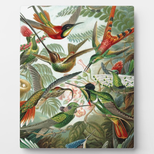 Plaque Photo Humming Birds Paradise Art (Devant)