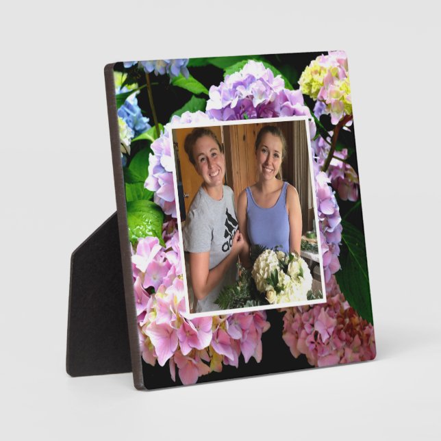 Plaque Photo hydrangea jardin rose violet bleu vert fleuri (Recto)