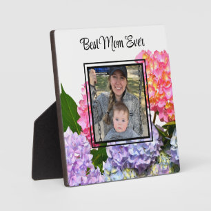 Plaque Photo Hydrangées florales rose pâle bleu jaune vert