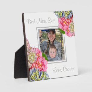 Plaque Photo Hydrangées florales rose pâle bleu jaune vert