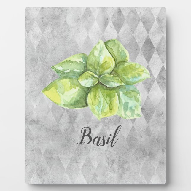 Plaque Photo Illustration aquarelle de Basilic   (Devant)