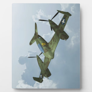 Plaque Photo Illustration d'aviation militaire de vol de warbir