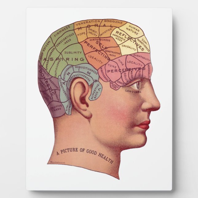 Plaque Photo Illustration de la fonction cérébrale vintage (Devant)