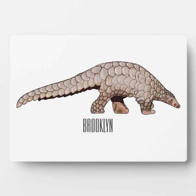 Plaque Photo Illustration de Pangolin (Devant)