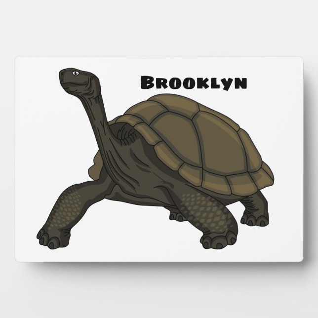 Plaque Photo Illustration de tortue terrestre des Galapagos (Devant)