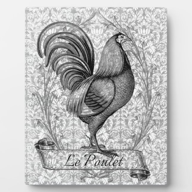 Plaque Photo Illustration vintage du poulet