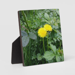 Plaque Photo Impression de toile étirée