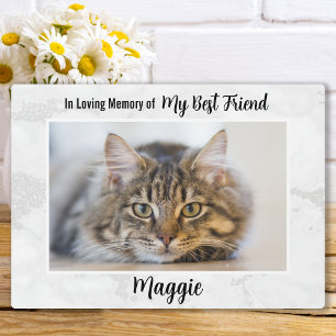 Plaque Photo In Loss Memory - Cat Memorial Pet Perdre la sympat