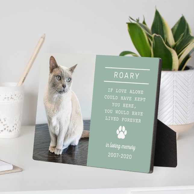 Plaque Photo In Love Memory Cat Personnalisé Photo Memorial (Créateur téléchargé)