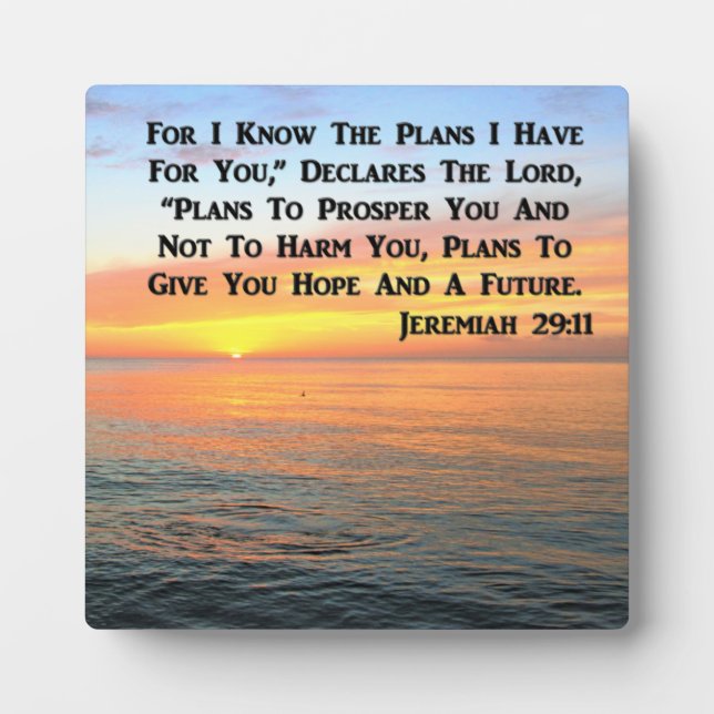 PLAQUE PHOTO INSPIRANT JEREMIAH 29:11 SCELER (Devant)