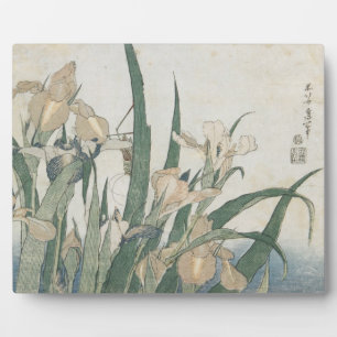 Plaque Photo Iris Flowers and Grasshopper, c.1830-31
