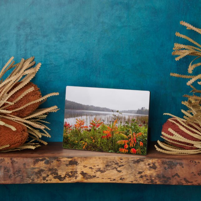 Plaque Photo Itasca State Park | Minnesota (Côté)