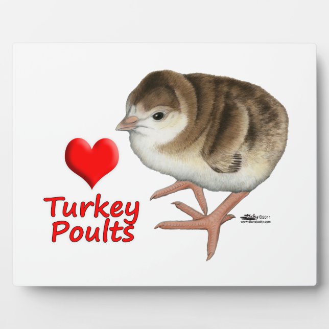 Plaque Photo J'Aime Les Volets De Turquie ! (Devant)