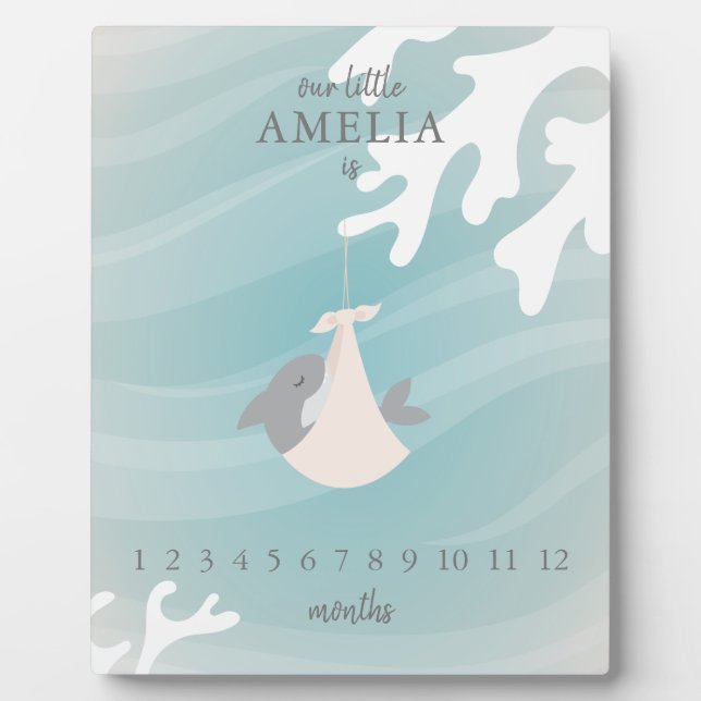 Plaque Photo Jalon de bébé requin doux (Devant)