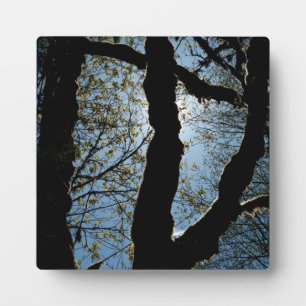 PLAQUE PHOTO JAMAIS
