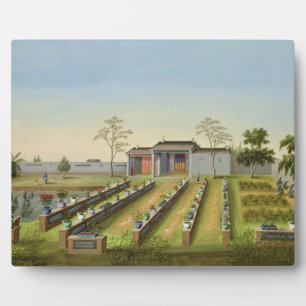 Plaque Photo Jardin de pépinière, c.1820-40 (a/l sur papier)
