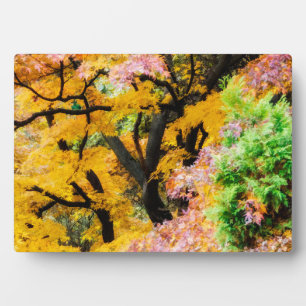 Plaque Photo Jardin des Zen