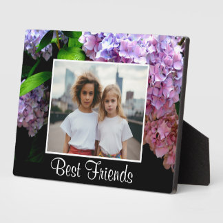 Plaque Photo Jardin d'hortensias, floral rose, bleu, violet