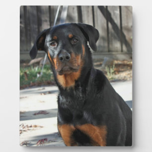 Plaque photo Jardin Heidi Rottweiler