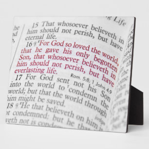 Plaque Photo John 3:16