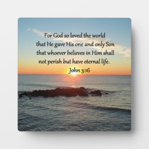 PLAQUE PHOTO JOHN 3:16 BRISER JOHN