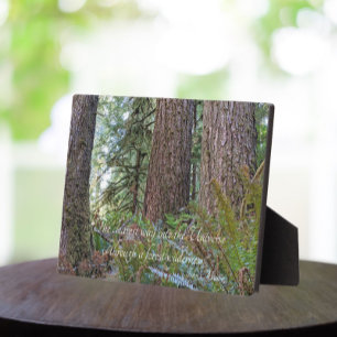 Plaque Photo John Muir Cite Forêt de conifères géante