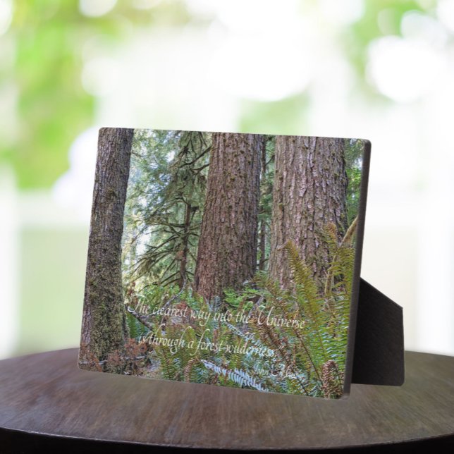 Plaque Photo John Muir Cite Forêt de conifères géante (In Situ Table)