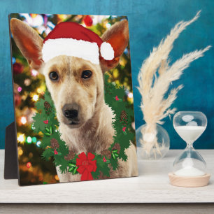 Plaque Photo Joie au chiot