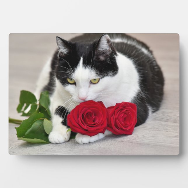 Plaque Photo Joli chat avec la rose rouge (Devant)